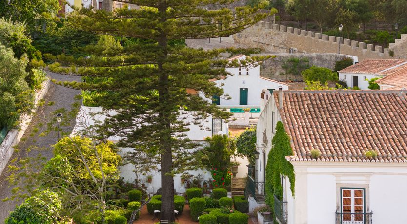 Photo of Sunkissed Delight