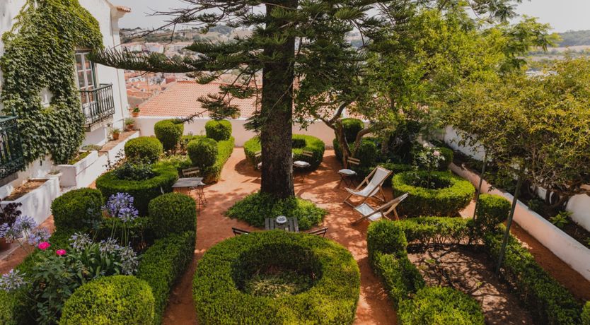 Photo of Sunkissed Delight