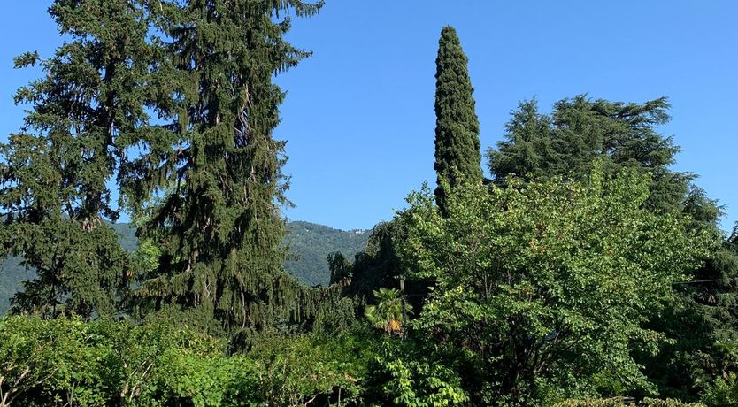 Photo of Cernobbio Cadence