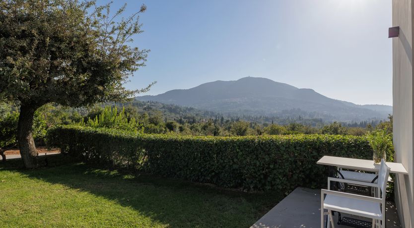 Photo of Olio of Olives