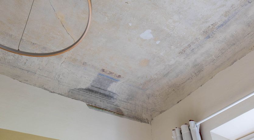 Photo of Florence's Heart