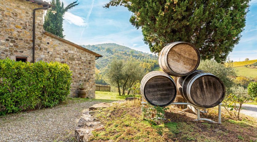 Photo of The Light of Living