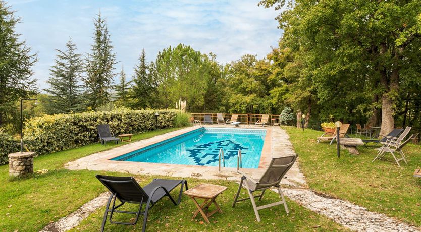 Photo of The Light of Living