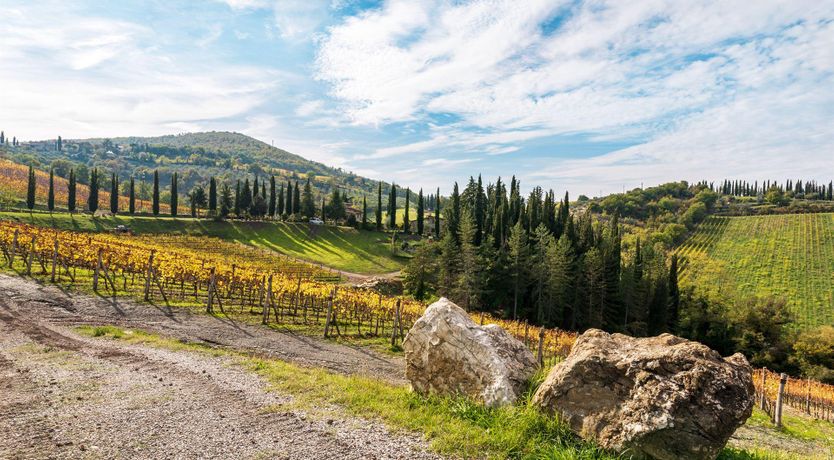 Photo of The Light of Living