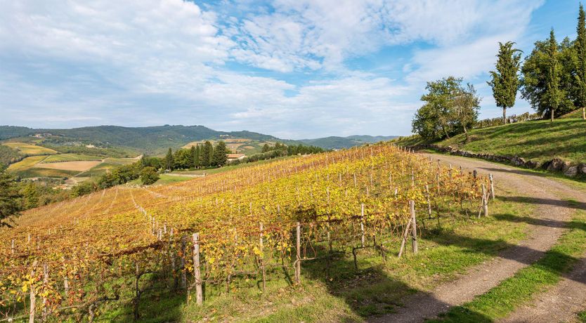 Photo of The Light of Living