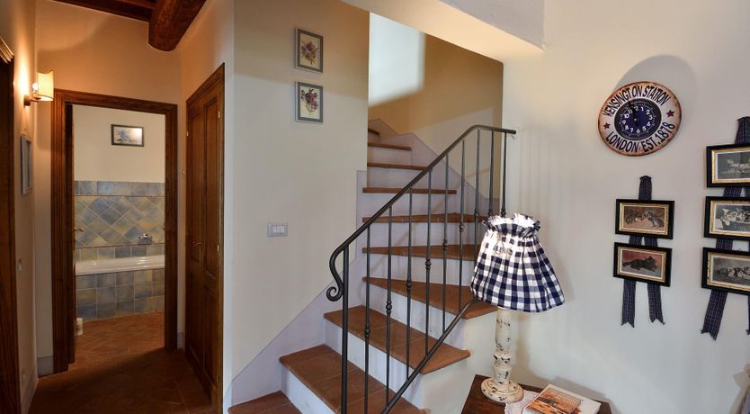 Photo of The Grapevine