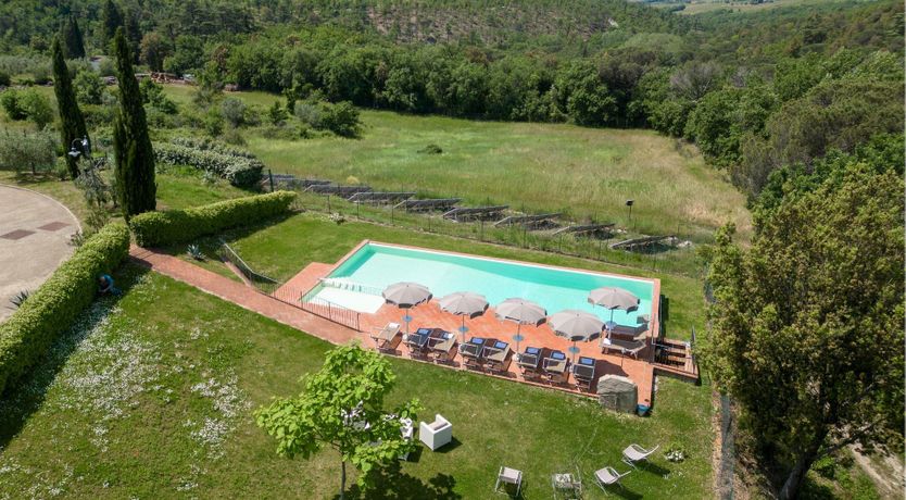 Photo of The Grapevine