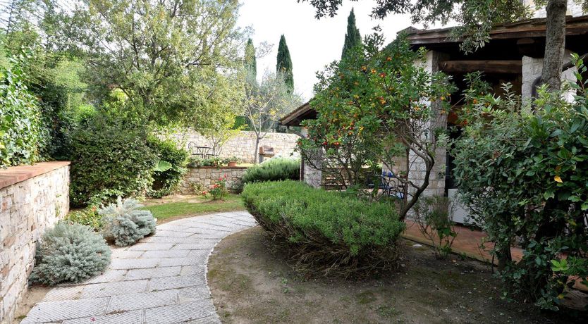 Photo of The Grapevine