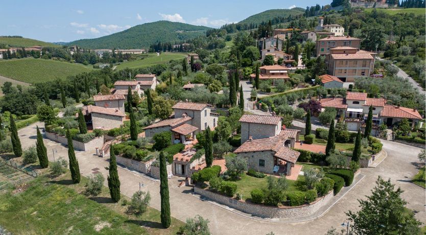 Photo of The Grapevine