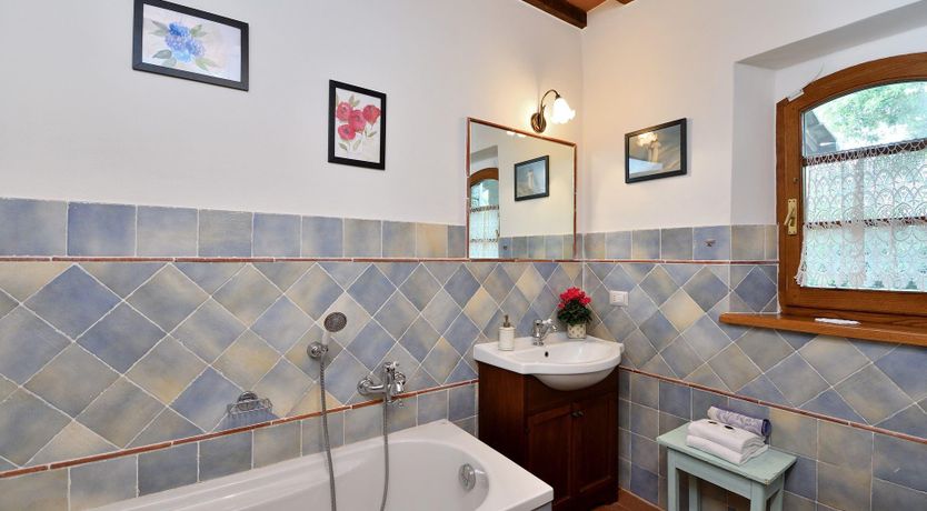 Photo of The Grapevine