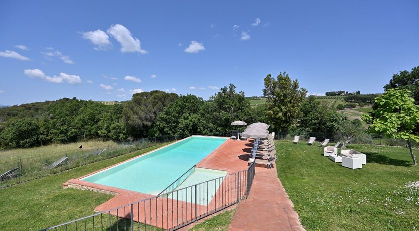 Photo of The Grapevine