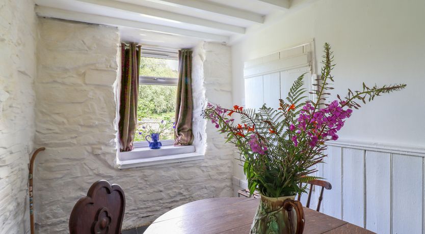 Photo of Nyth Yr Eryr