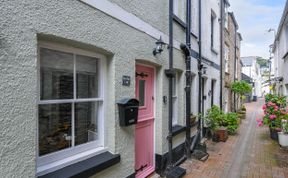 Photo of Sea Pinks