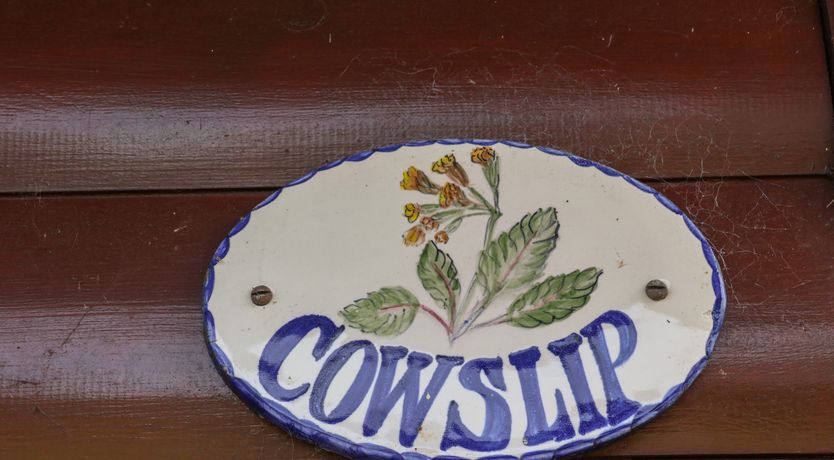 Photo of Cowslip