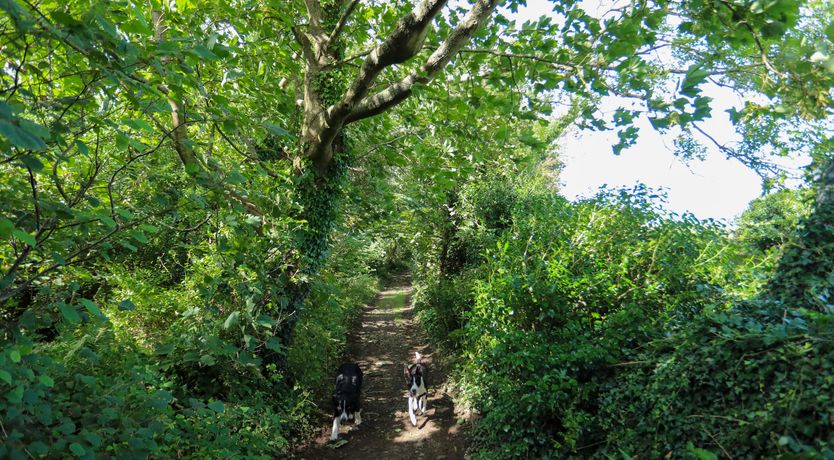Photo of The Lodge at Tal Eryr