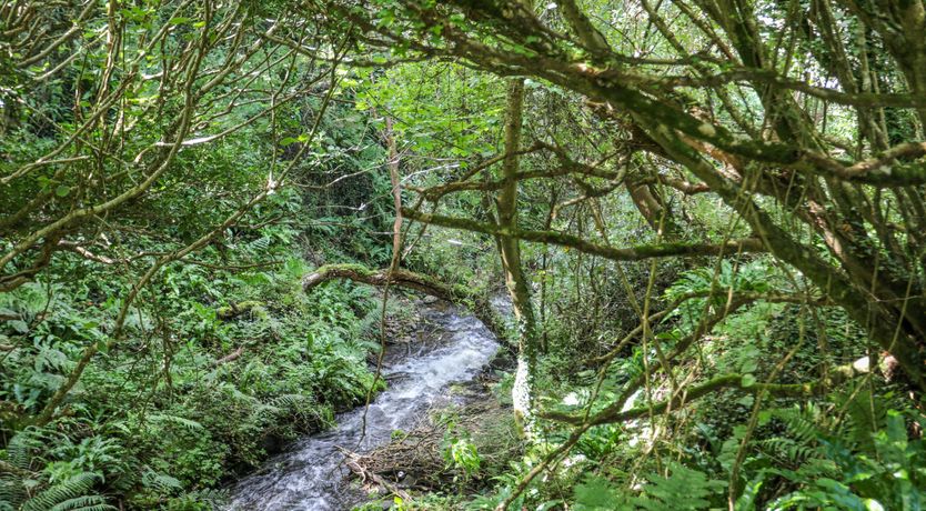 Photo of The Lodge at Tal Eryr