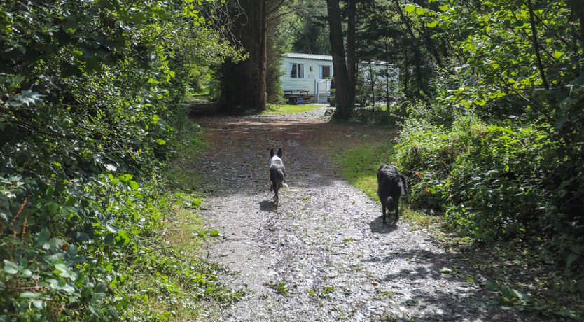 Photo of The Lodge at Tal Eryr
