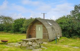 Photo of fox-den-penbugle-organic-farm