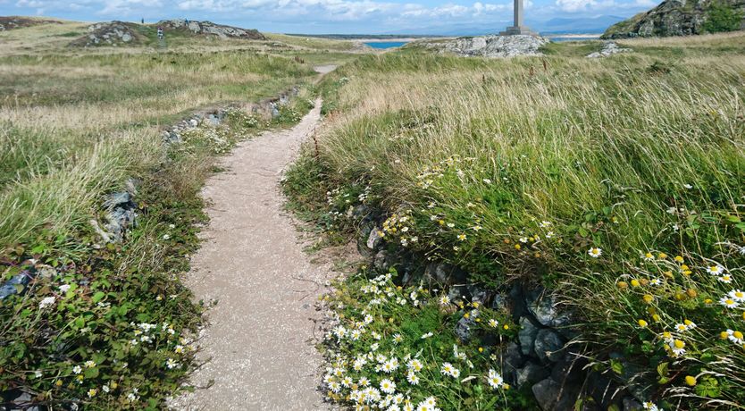 Photo of Caeau Gwynion Farm