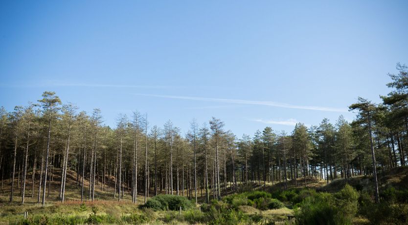 Photo of Caeau Gwynion Farm