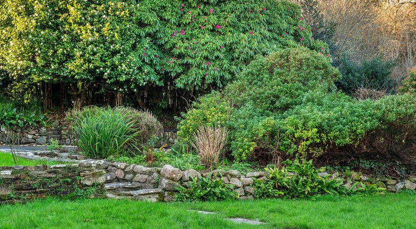 Photo of Cornish Spirit