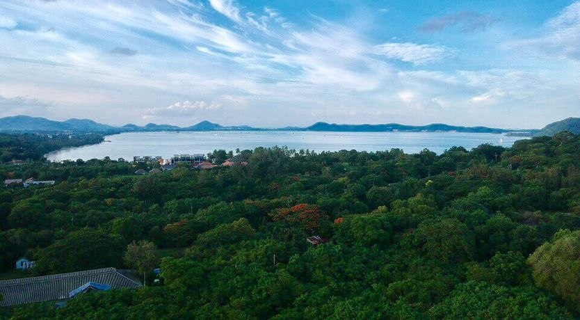 Photo of Tropical Zen