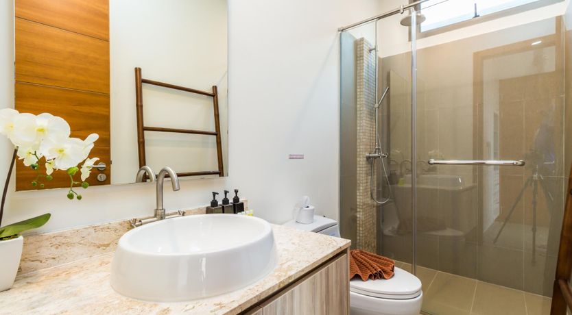 Photo of Tropical Zen