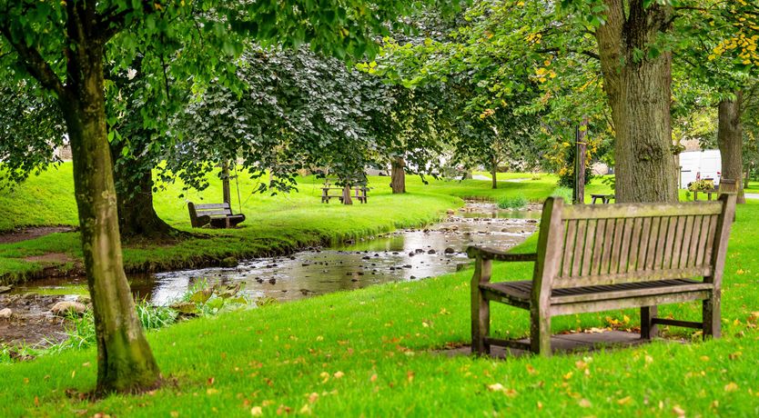 Photo of The Great Oak