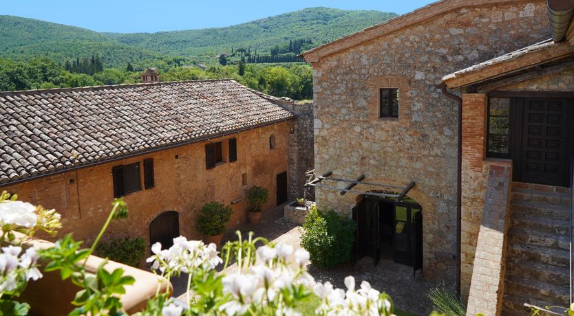 Photo of Divine Beauty