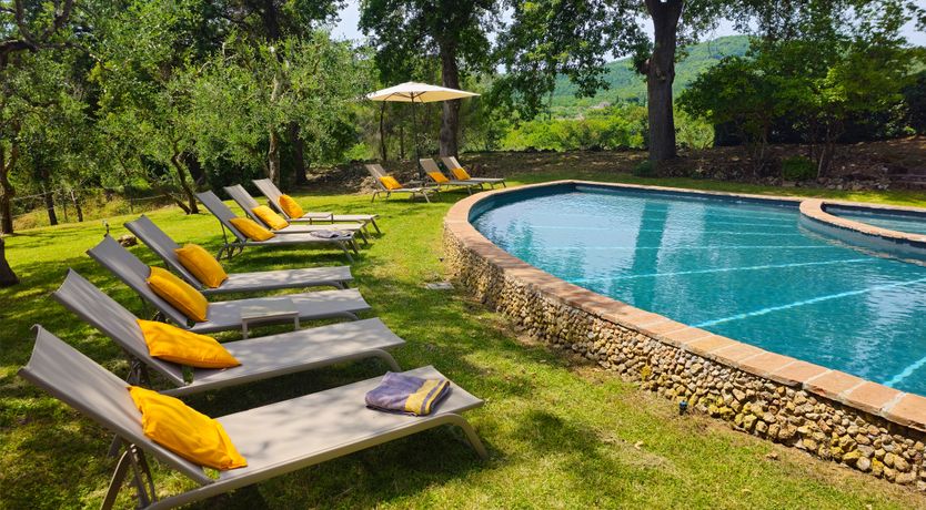 Photo of Divine Beauty