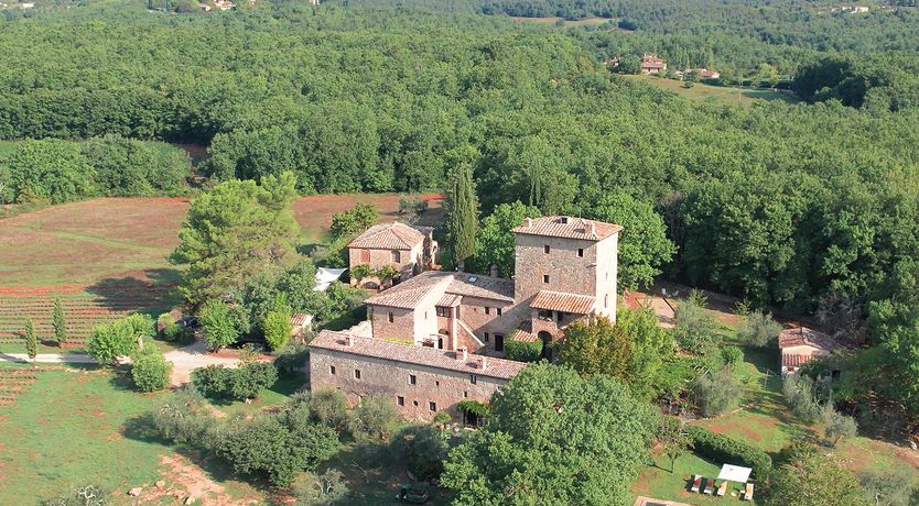 Photo of Divine Beauty