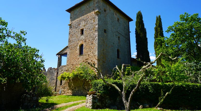 Photo of Divine Beauty