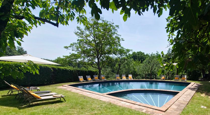 Photo of Divine Beauty