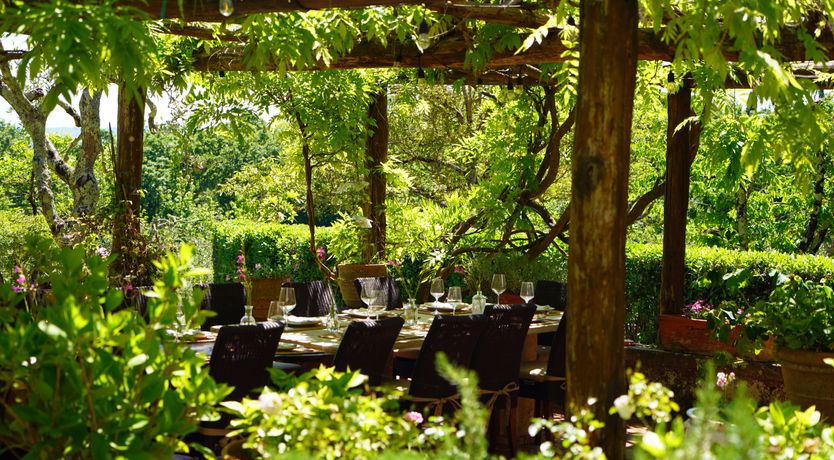 Photo of Divine Beauty