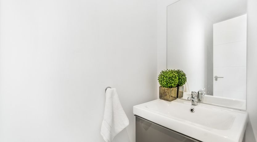 Photo of Beauty of the Present