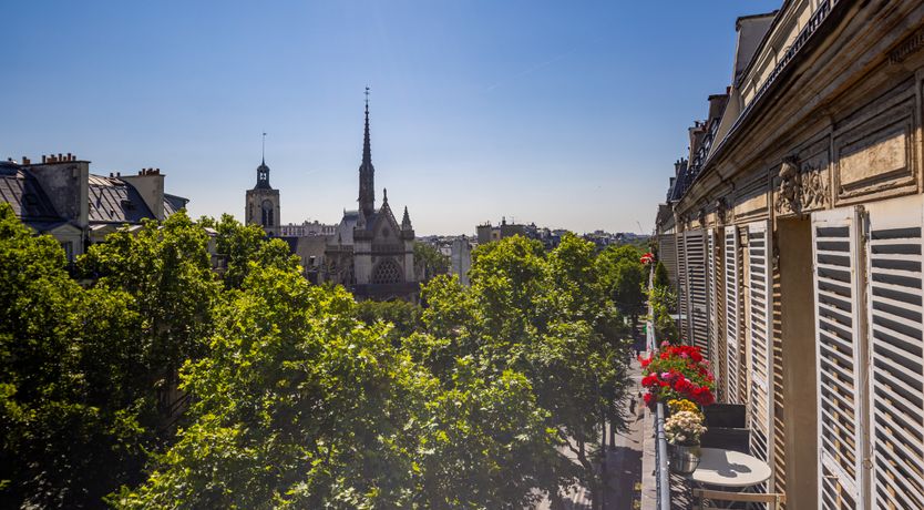 Photo of Paris Magenta