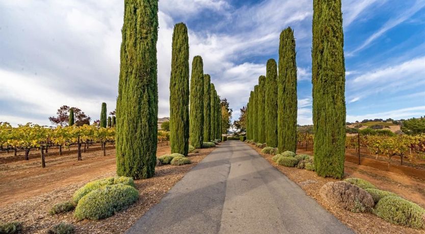 Photo of Healdsburg Heaven