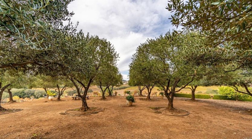 Photo of Healdsburg Heaven