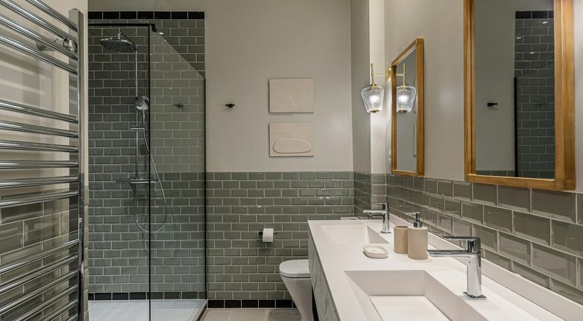 Photo of Fronds of Ivory