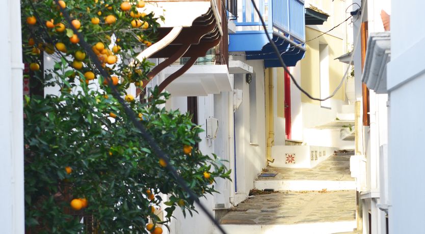 Photo of Blue & White Serenity