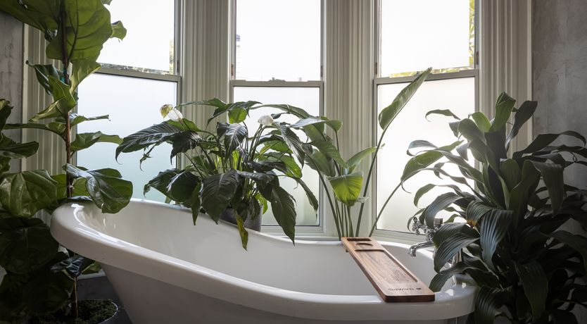 Photo of Pacific Tranquillity