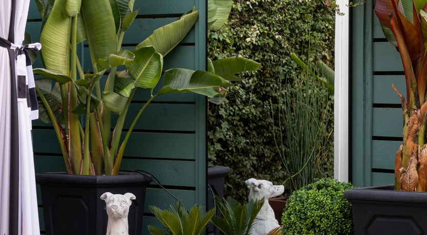 Photo of Pacific Tranquillity