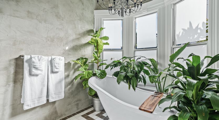 Photo of Pacific Tranquillity