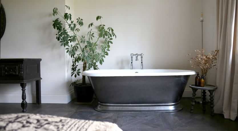 Photo of A Serene Soul