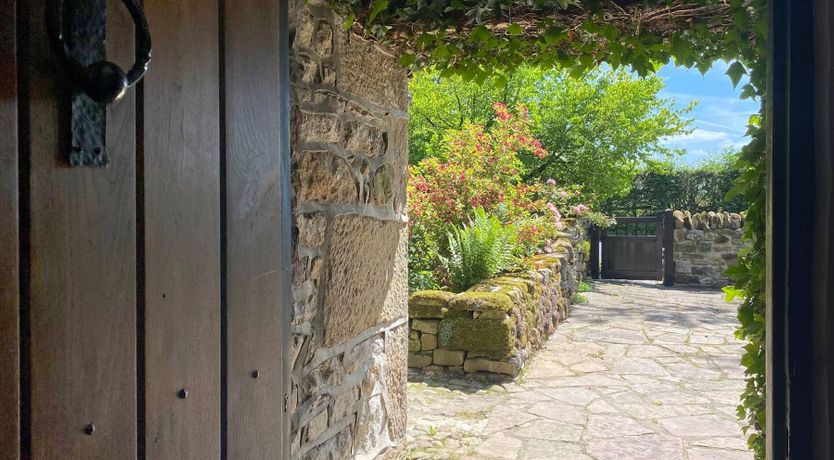 Photo of A Serene Soul