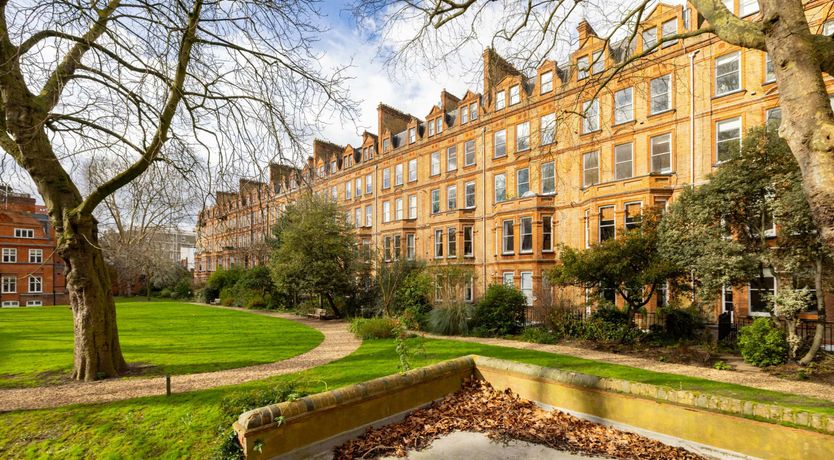 Photo of Botanical Muse