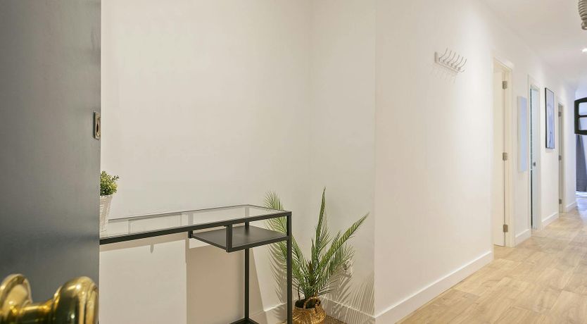 Photo of Catalan Comfort