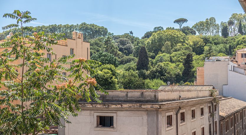 Photo of Amore & Roma