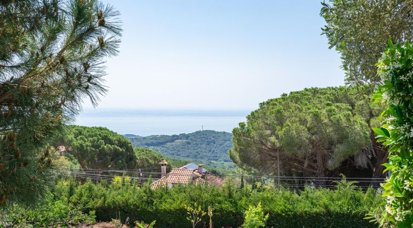 Photo of Mediterranean Soul