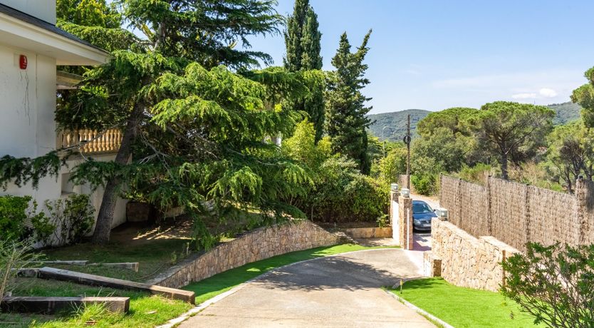 Photo of Mediterranean Soul